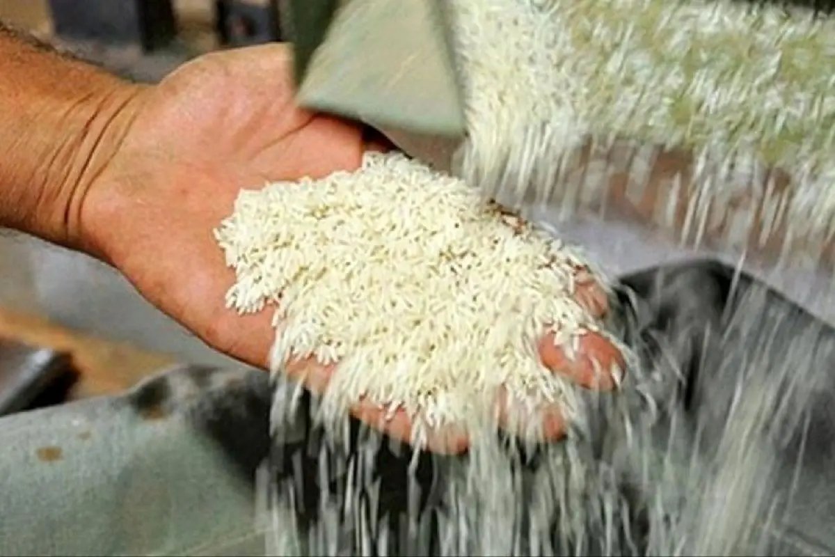 آخرین قیمت برنج ایرانی و خارجی در فروشگاه‌های زنجیره‌ای تهران اعلام شد